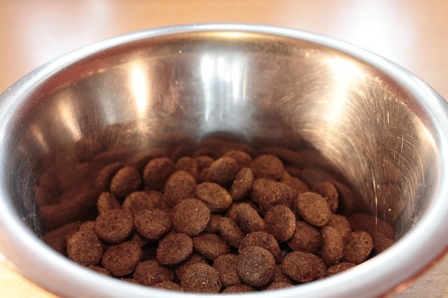 Image of Dry Dog Food in a bowl