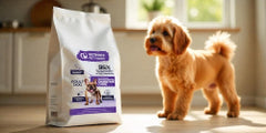 Digestive Care Dog Food