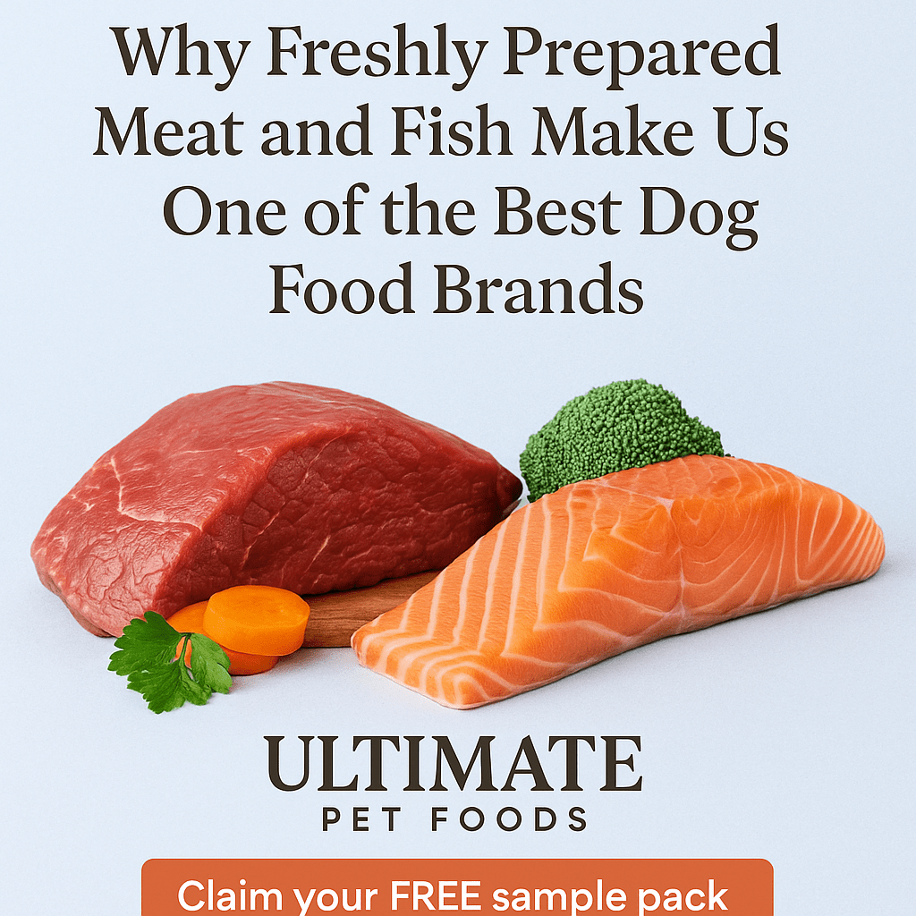 Why-Freshly-Prepared-Meat-and-Fish-Make-Us-One-of-the-Best-Dog-Food-Brands Ultimate Pet Foods