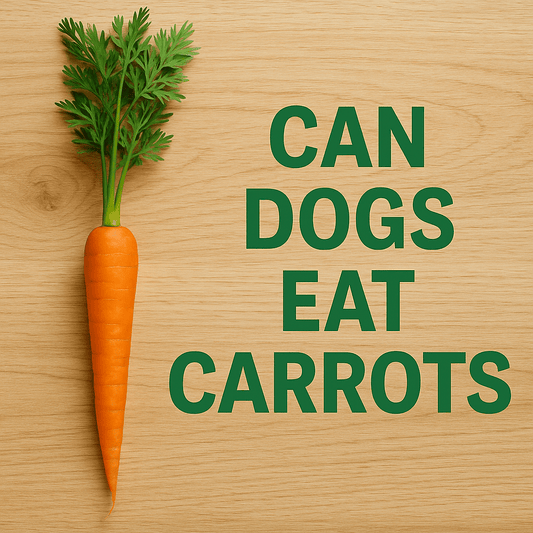 Can Dogs Eat Carrots
