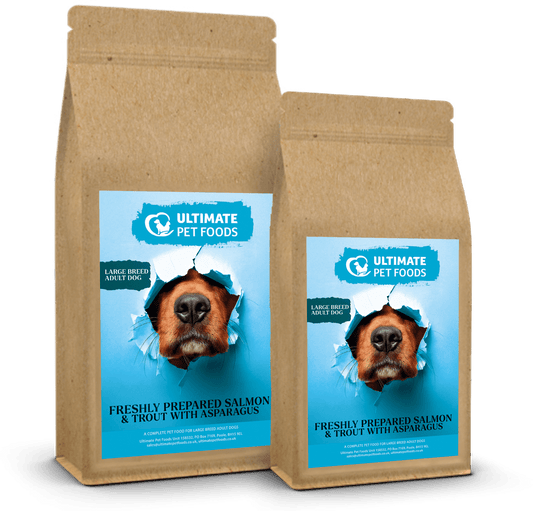 Freshly Prepared Salmon, & Trout With Asparagus