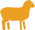 Lamb Icon