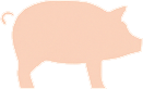 Pork Icon