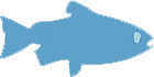Trout Icon