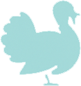 Turkey Icon